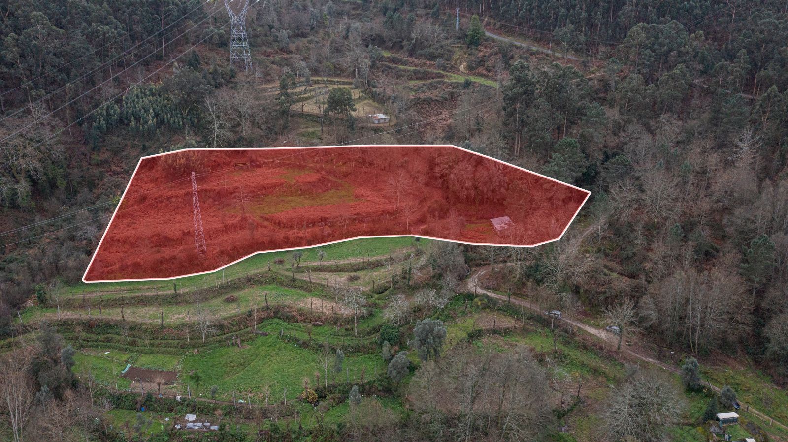Terreno