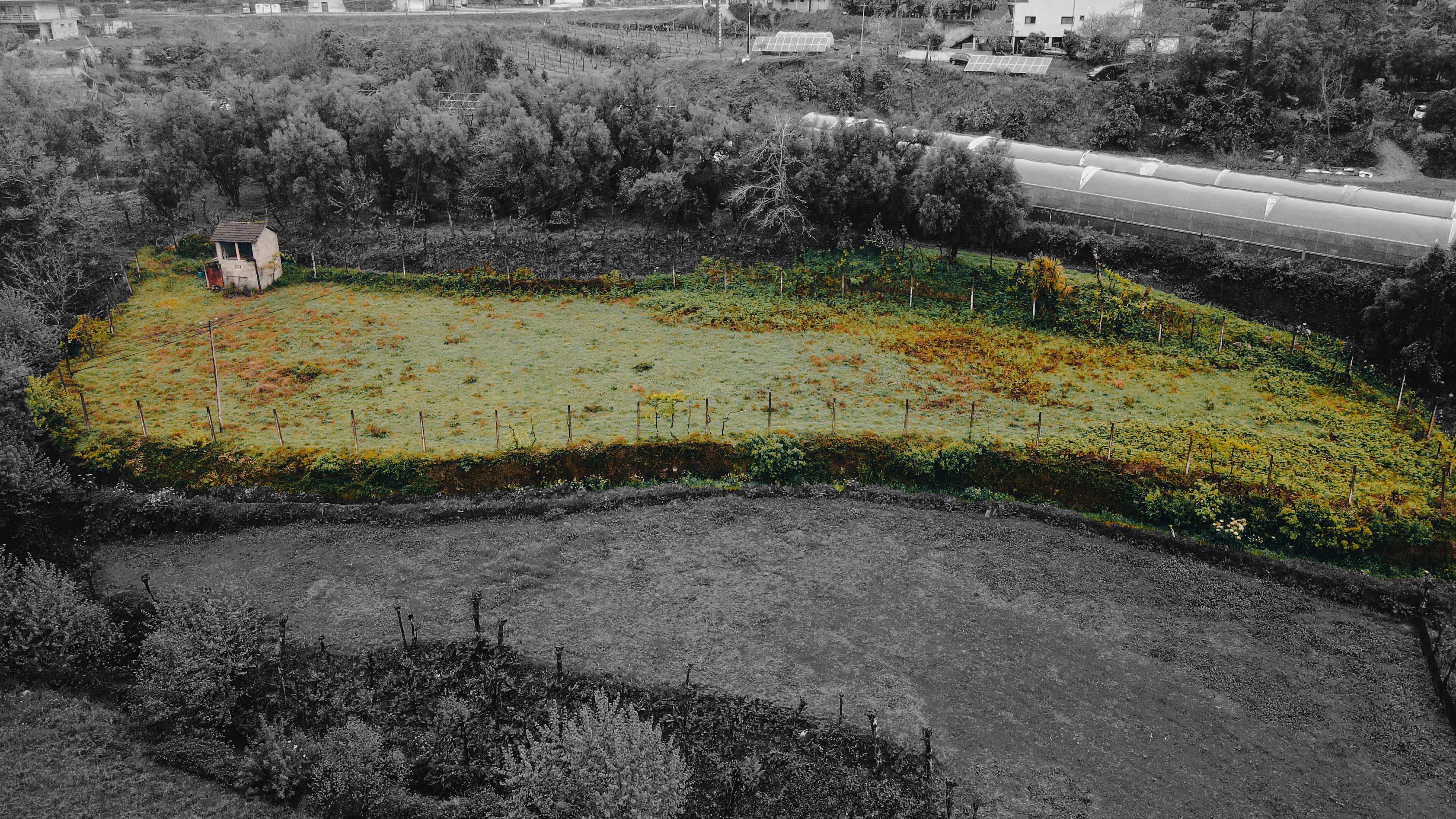 Terreno