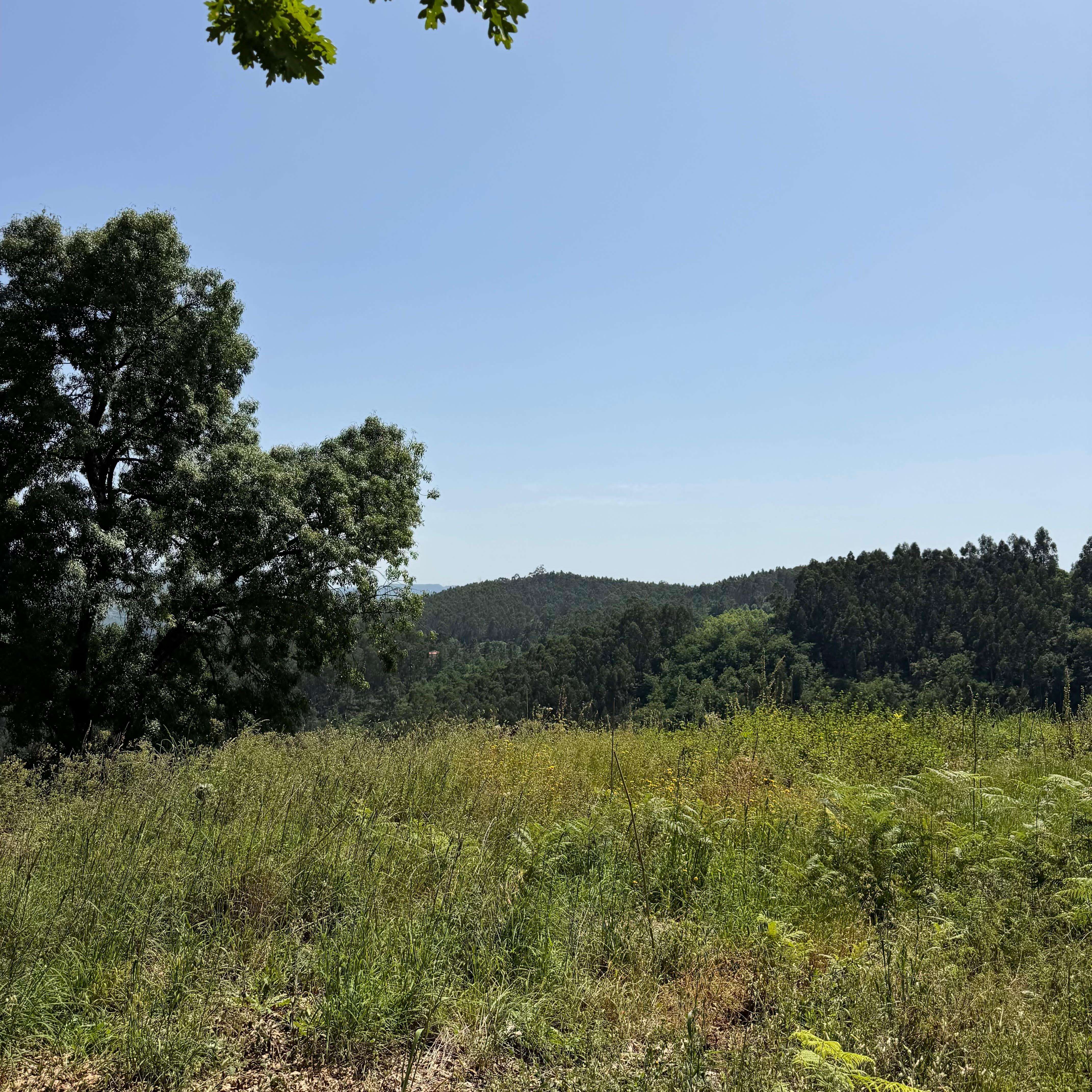 Terreno