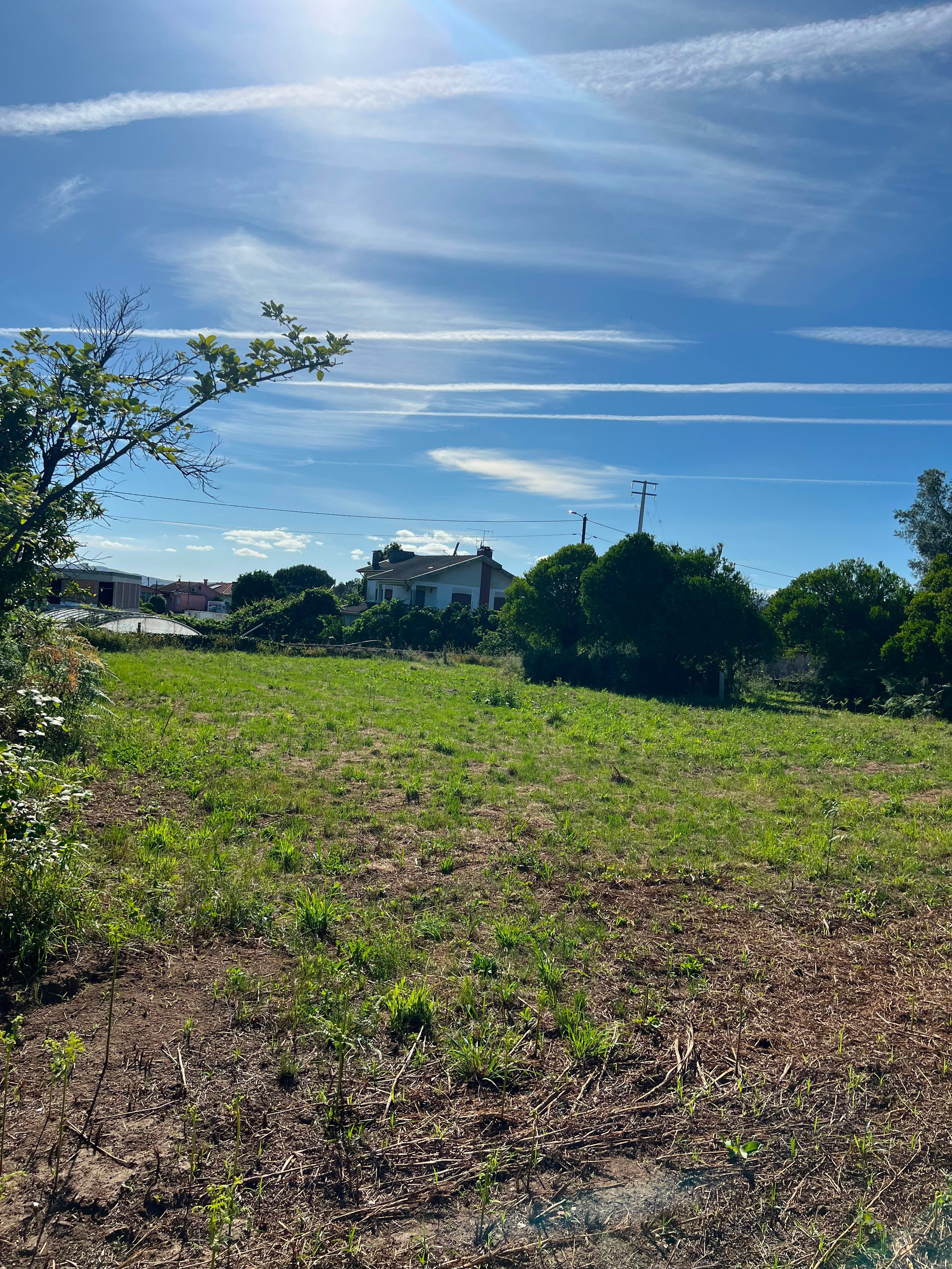 Terreno