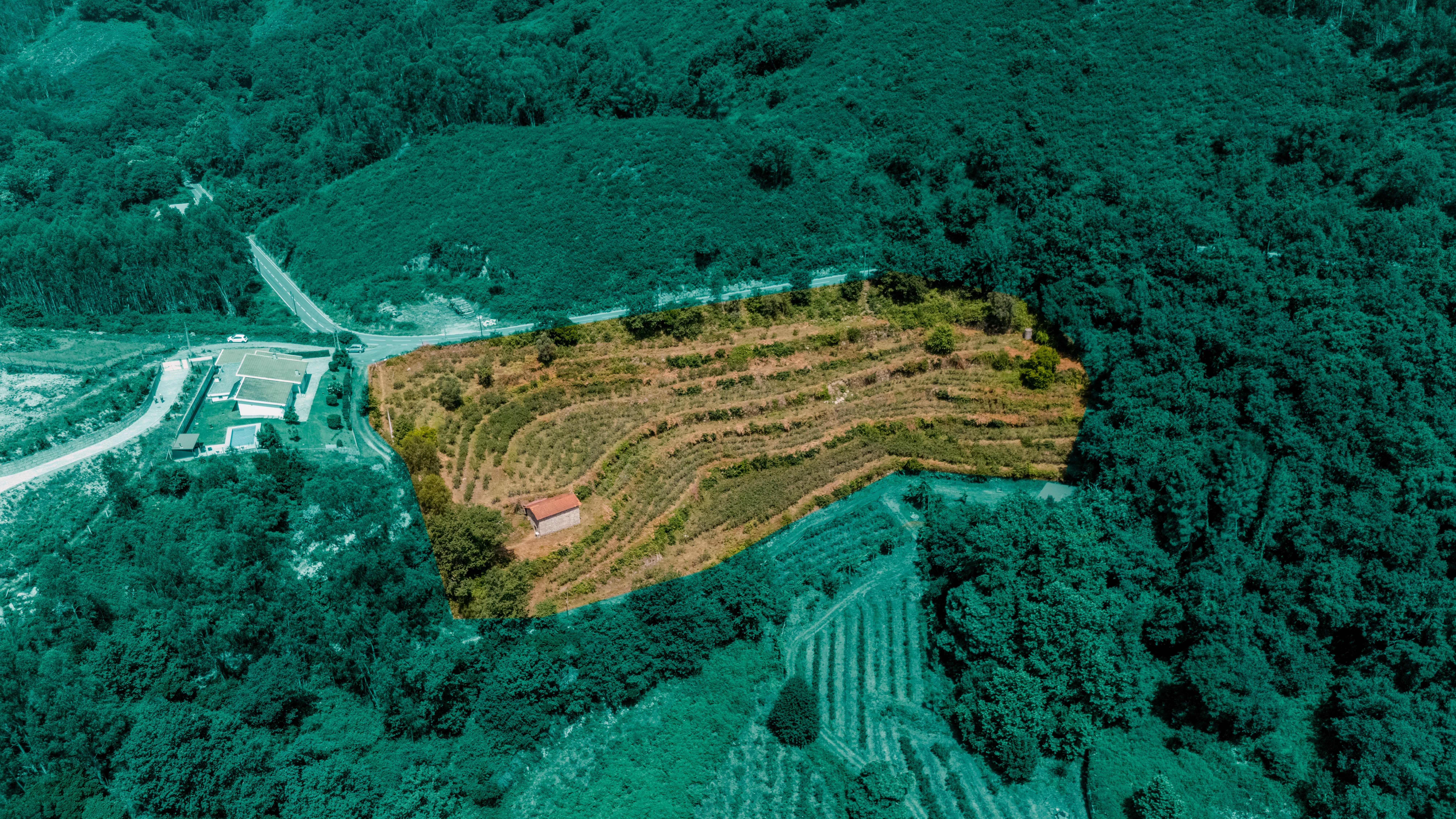 Terreno
