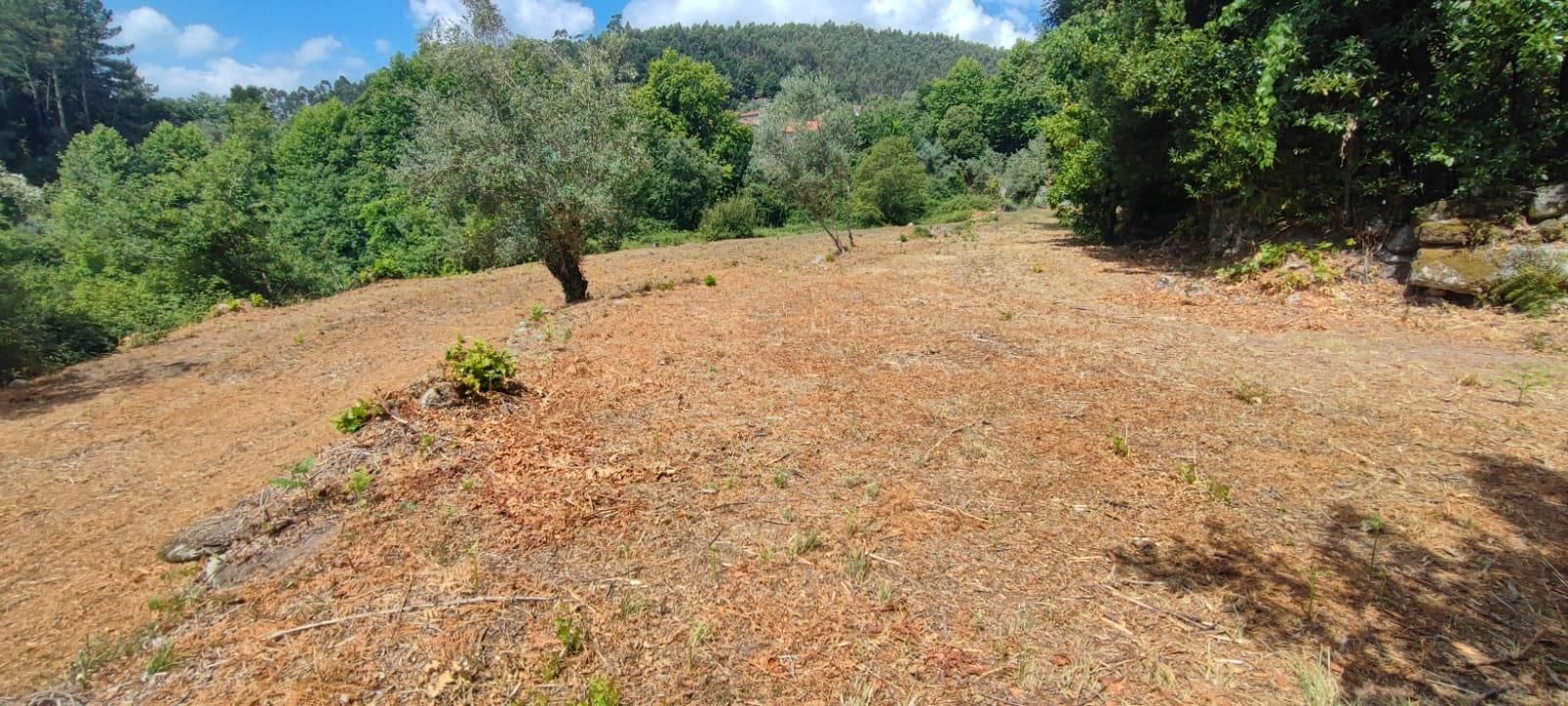 Terreno