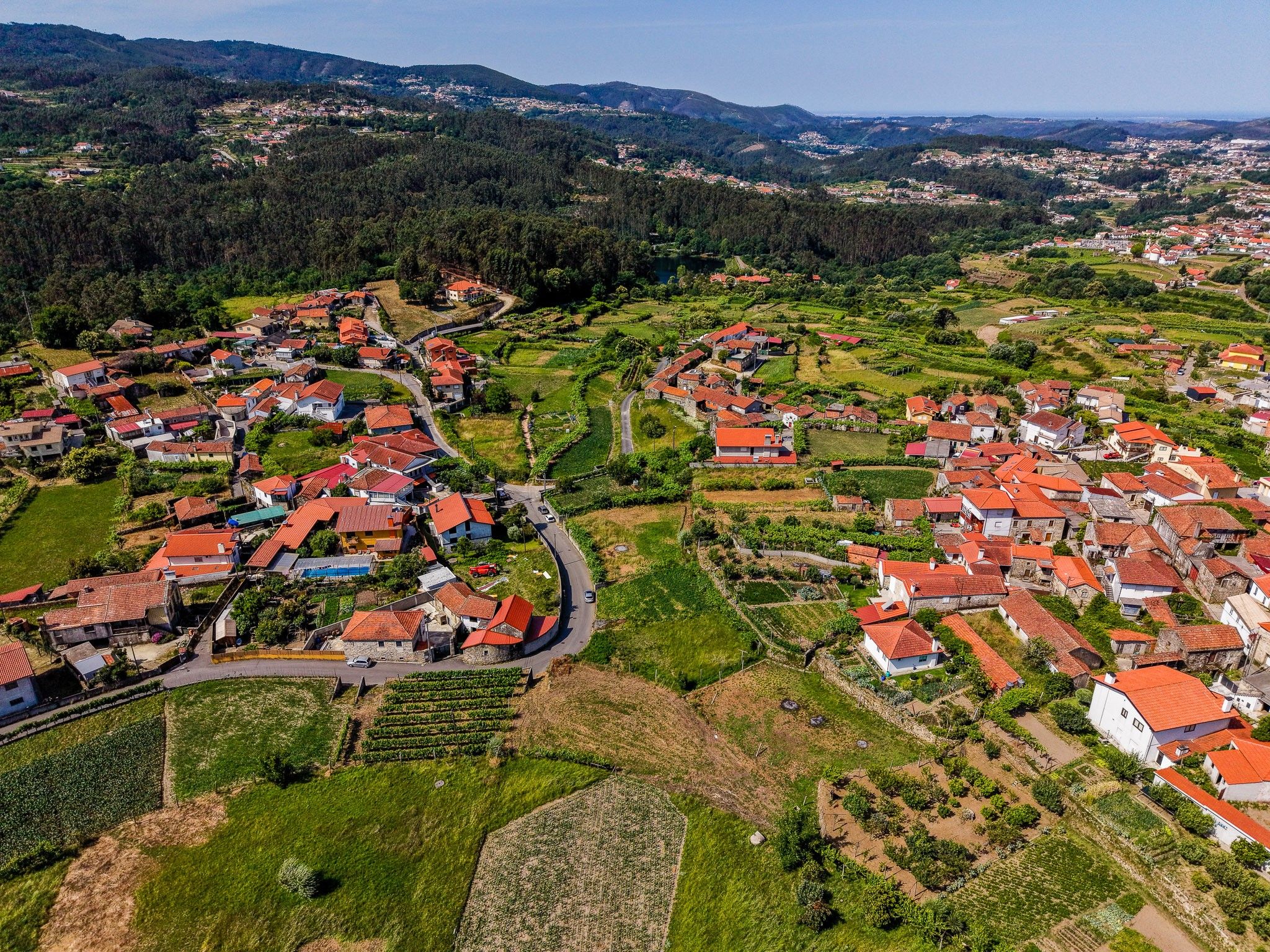 Terreno