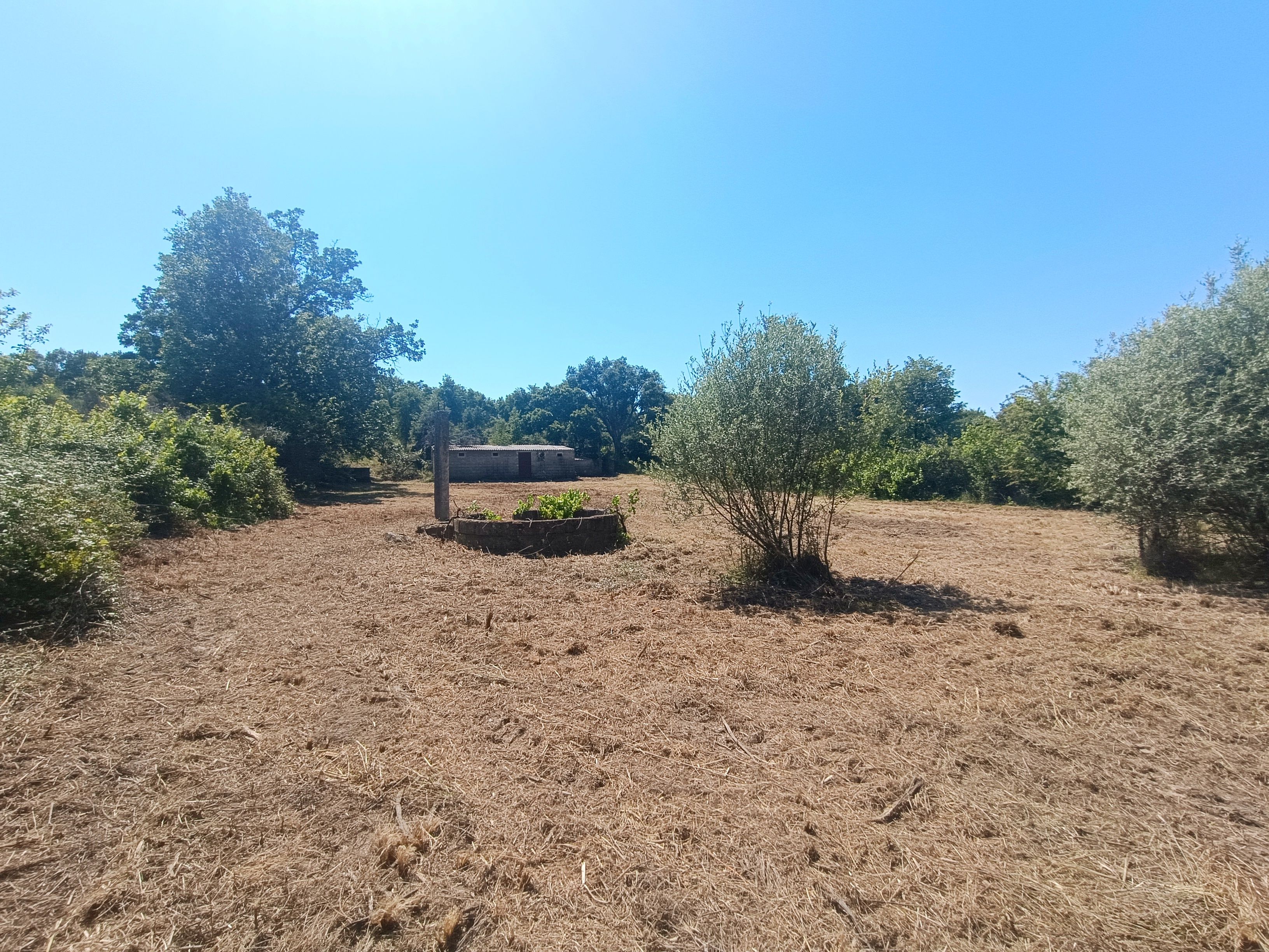 Terreno