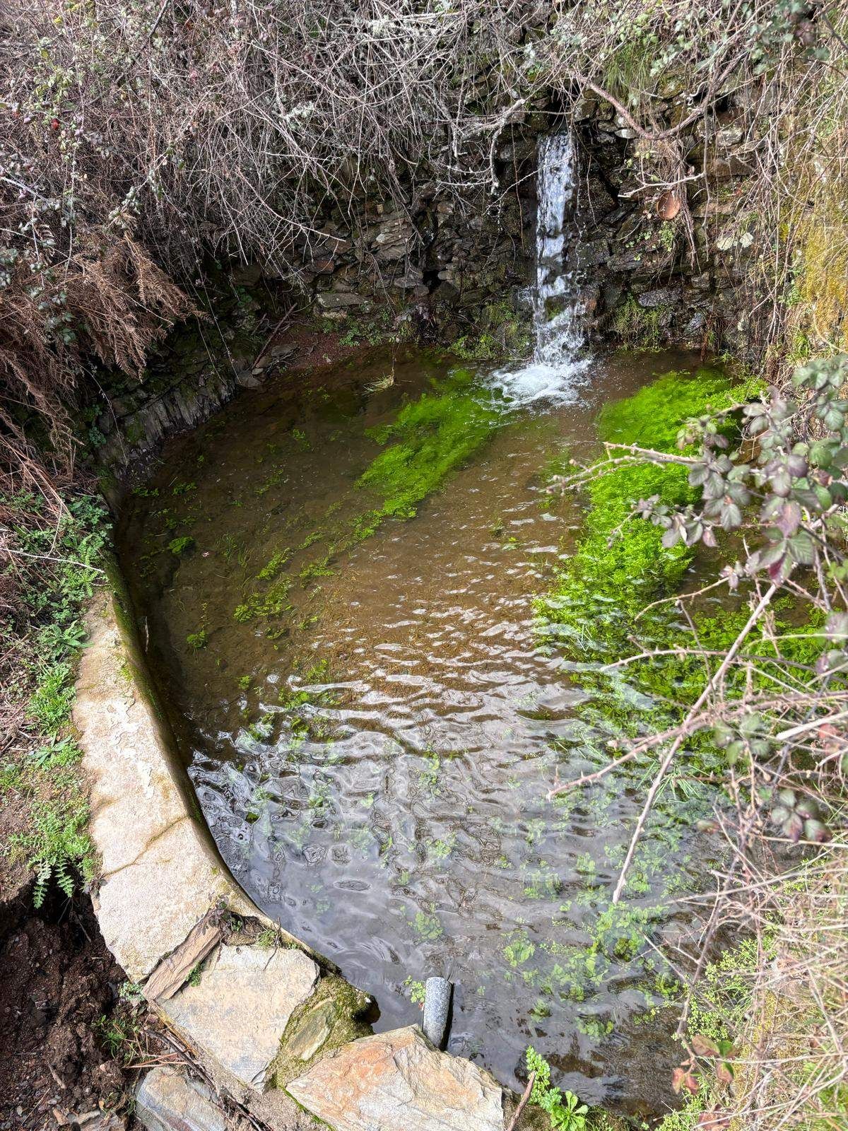 Terreno