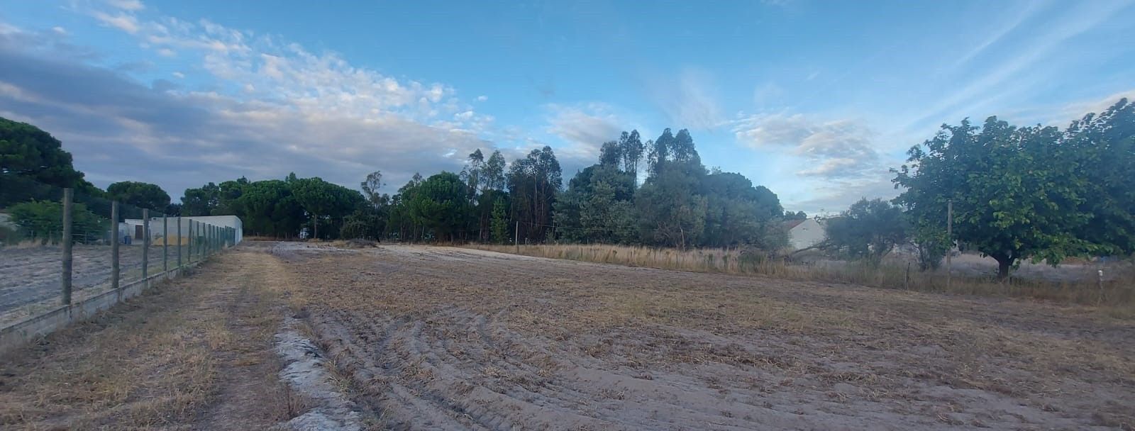 Terreno