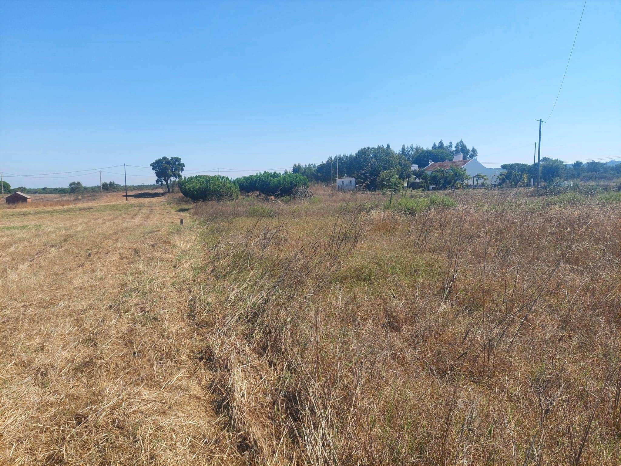 Terreno