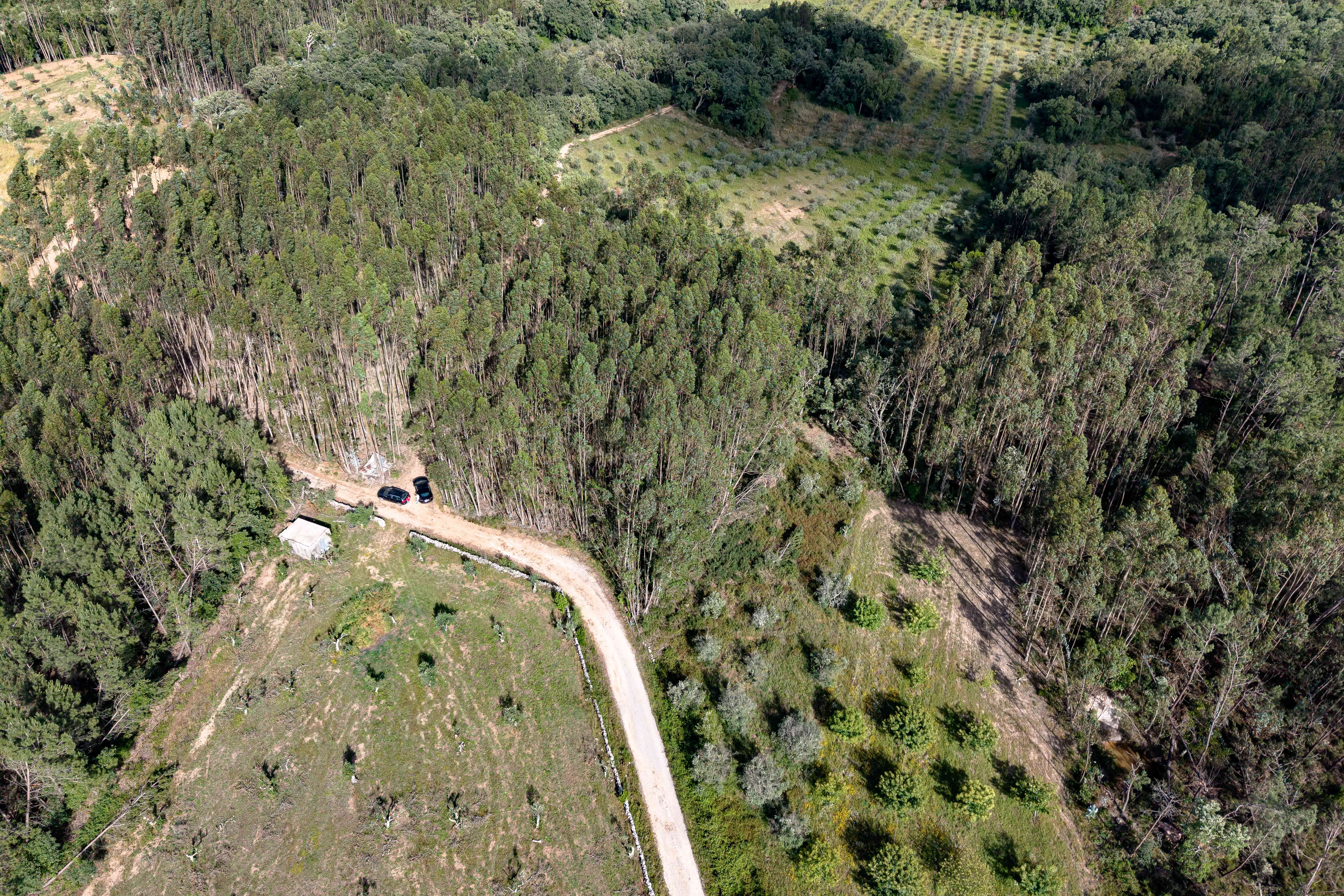 Terreno