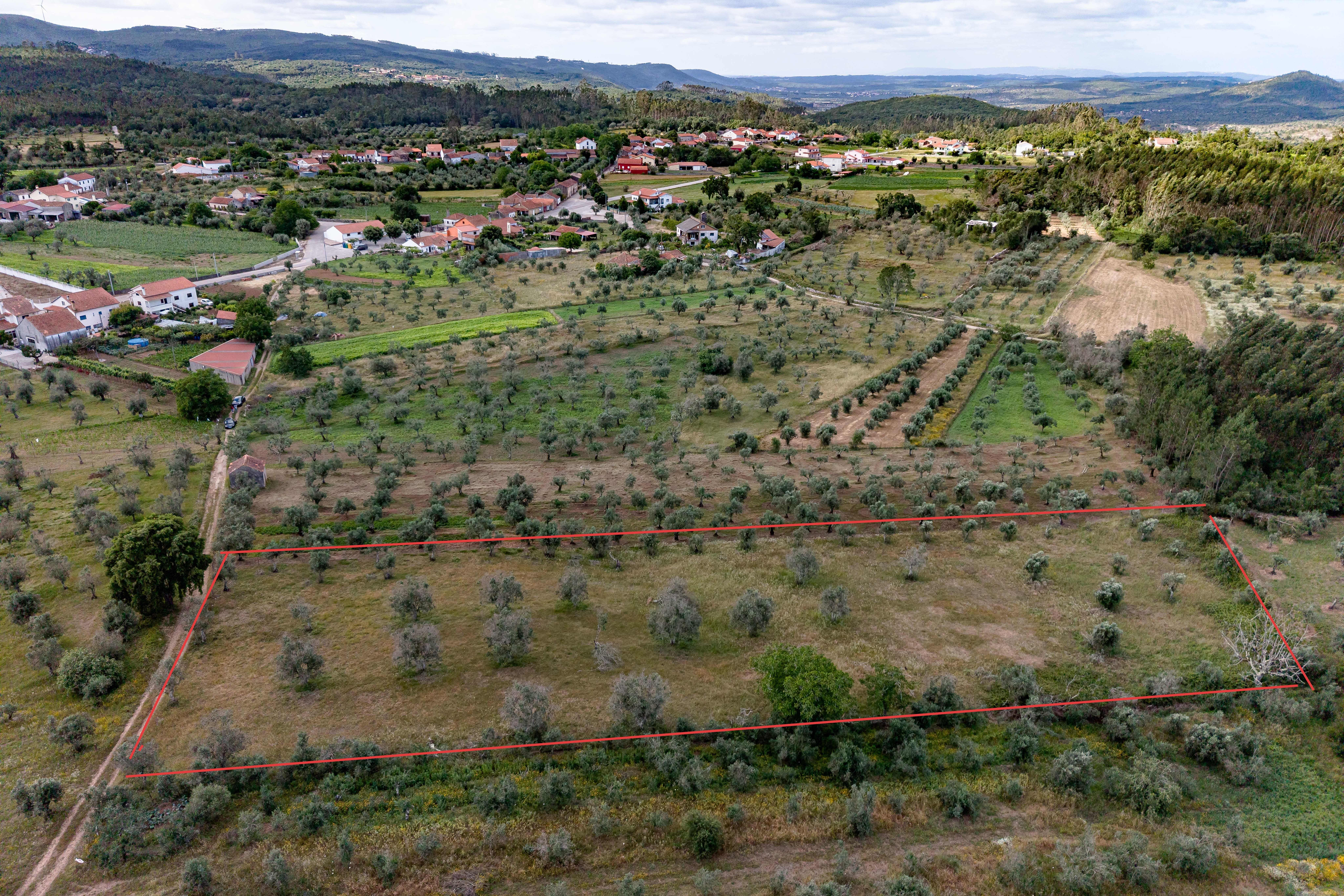 Terreno