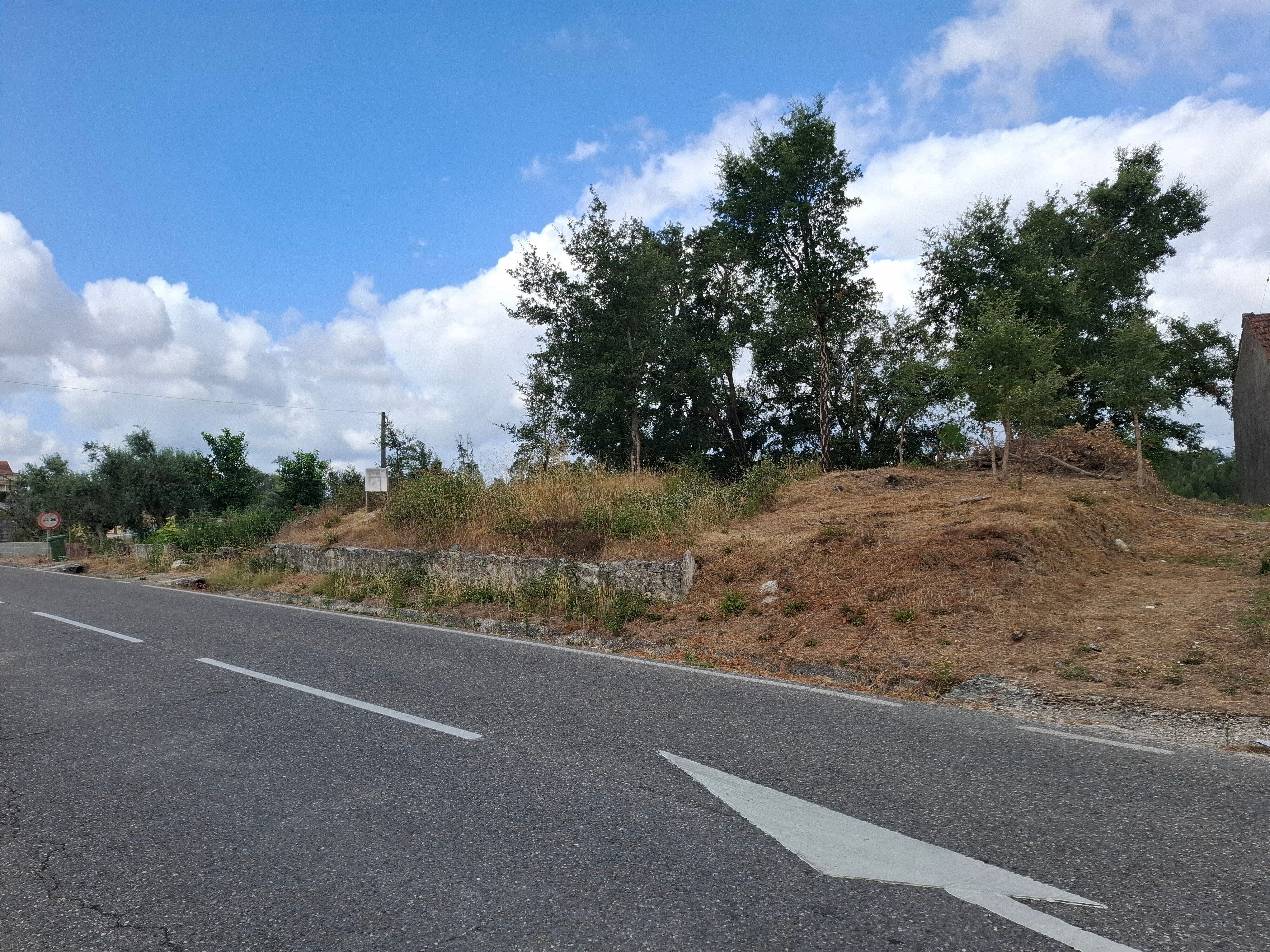 Terreno