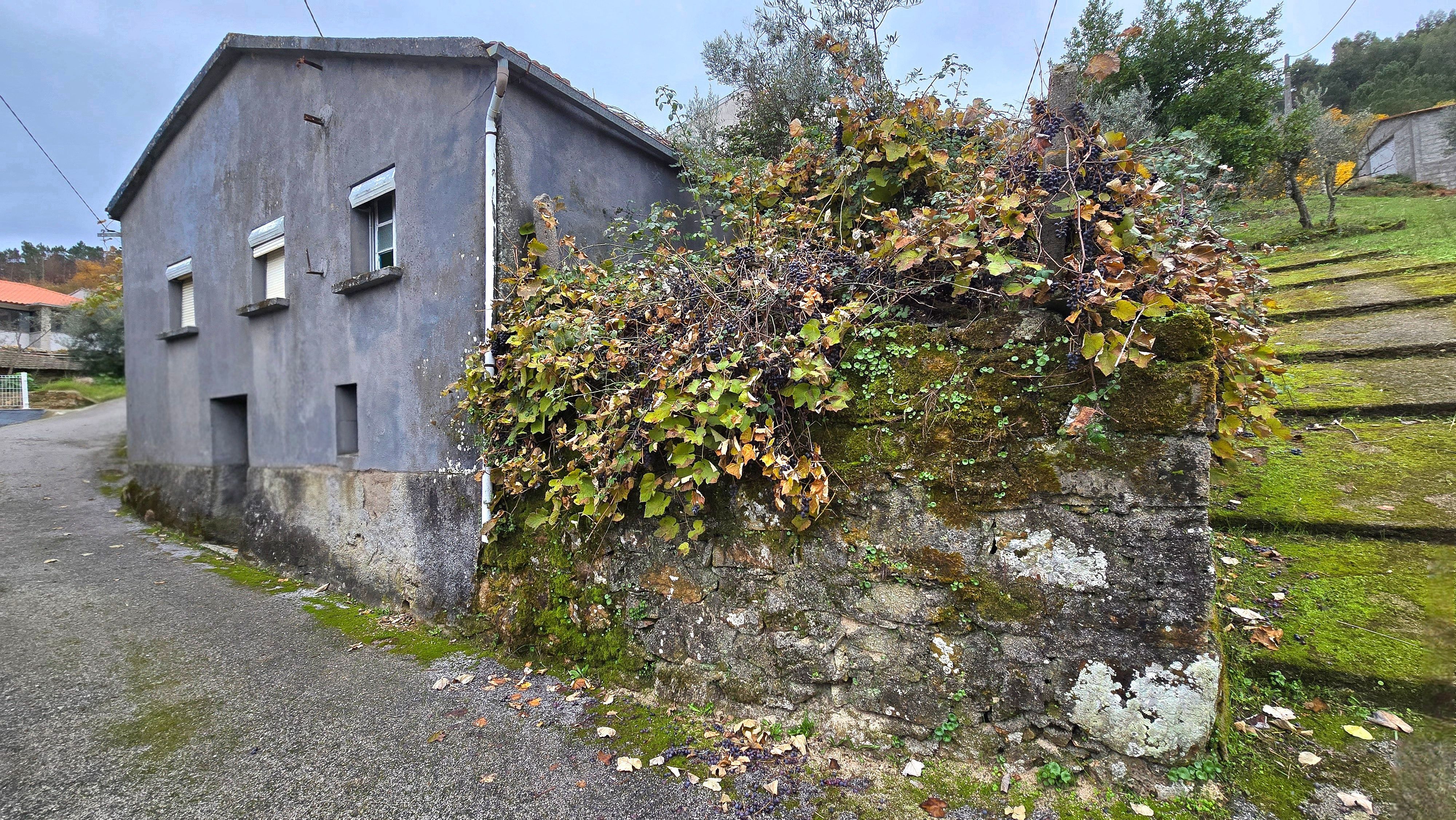 Moradia