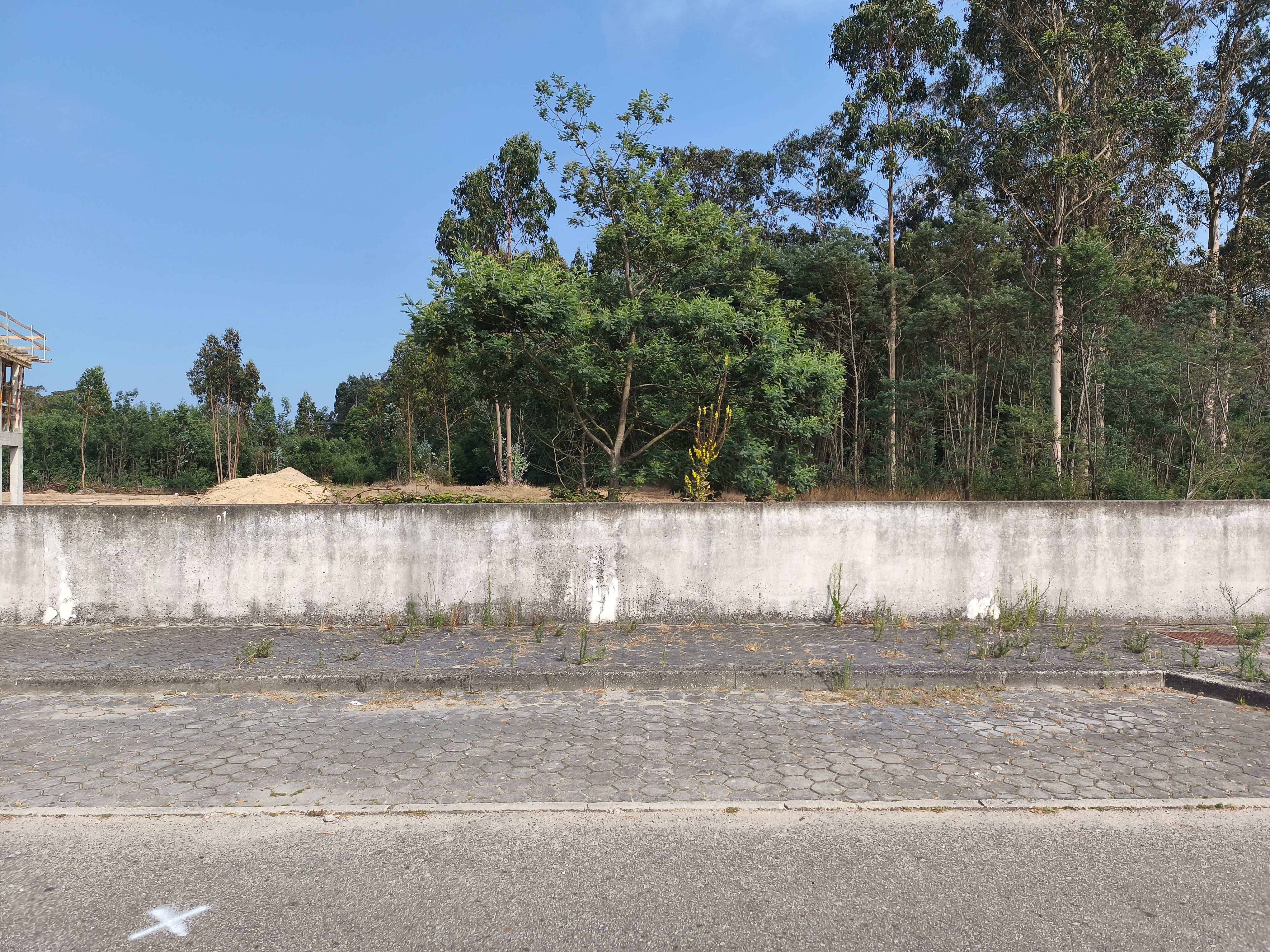 Terreno