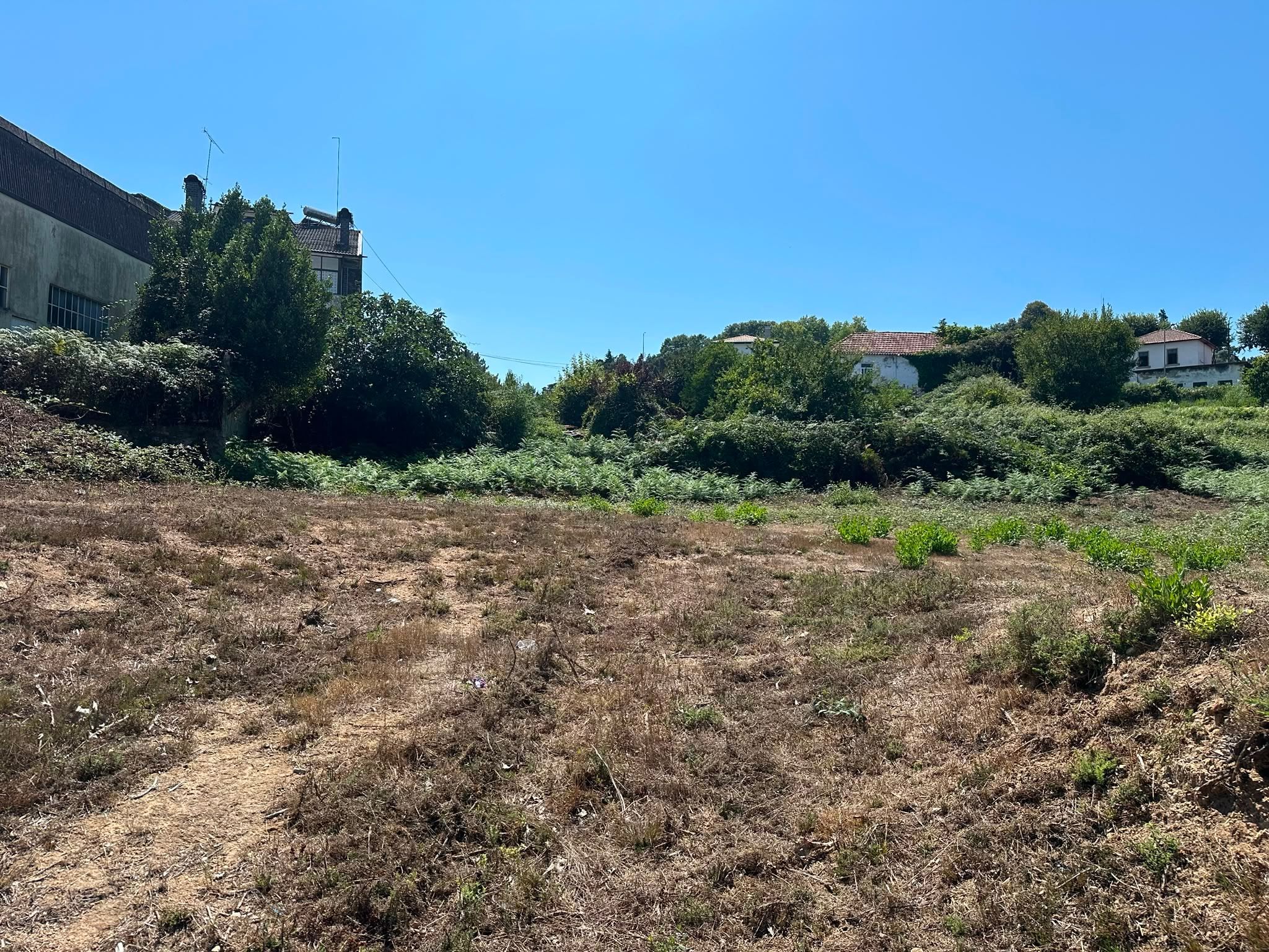 Terreno