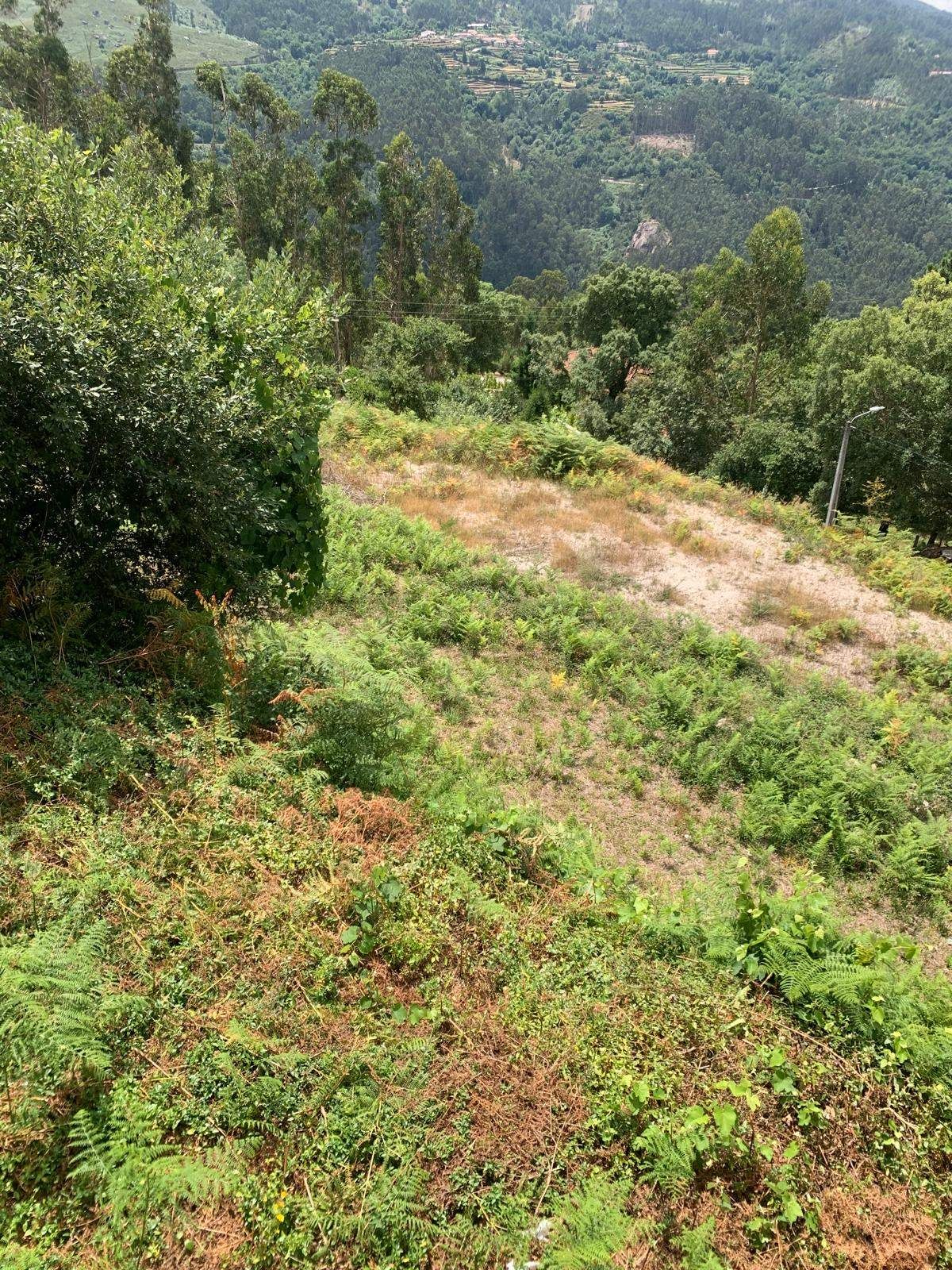 Terreno