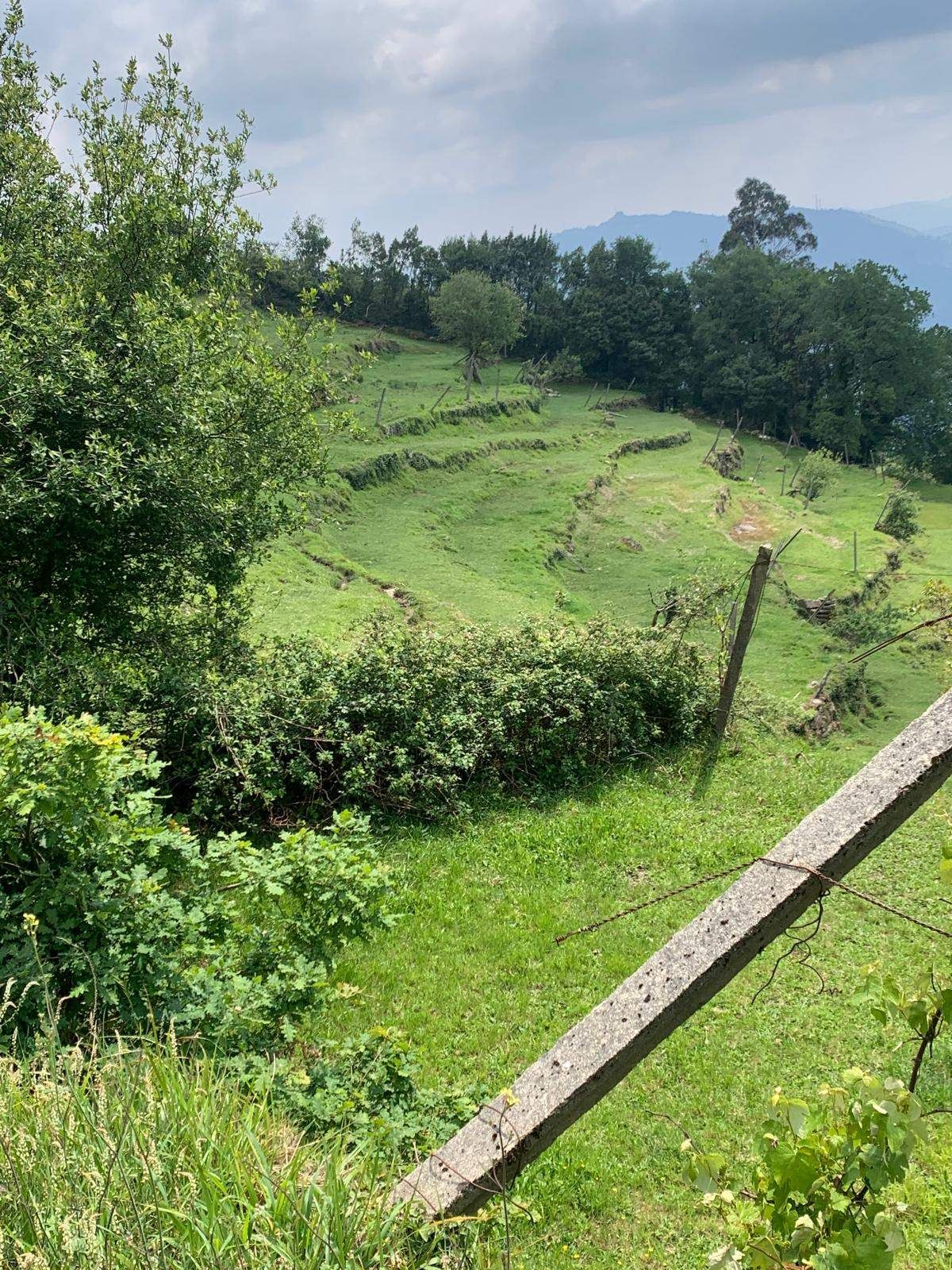 Terreno