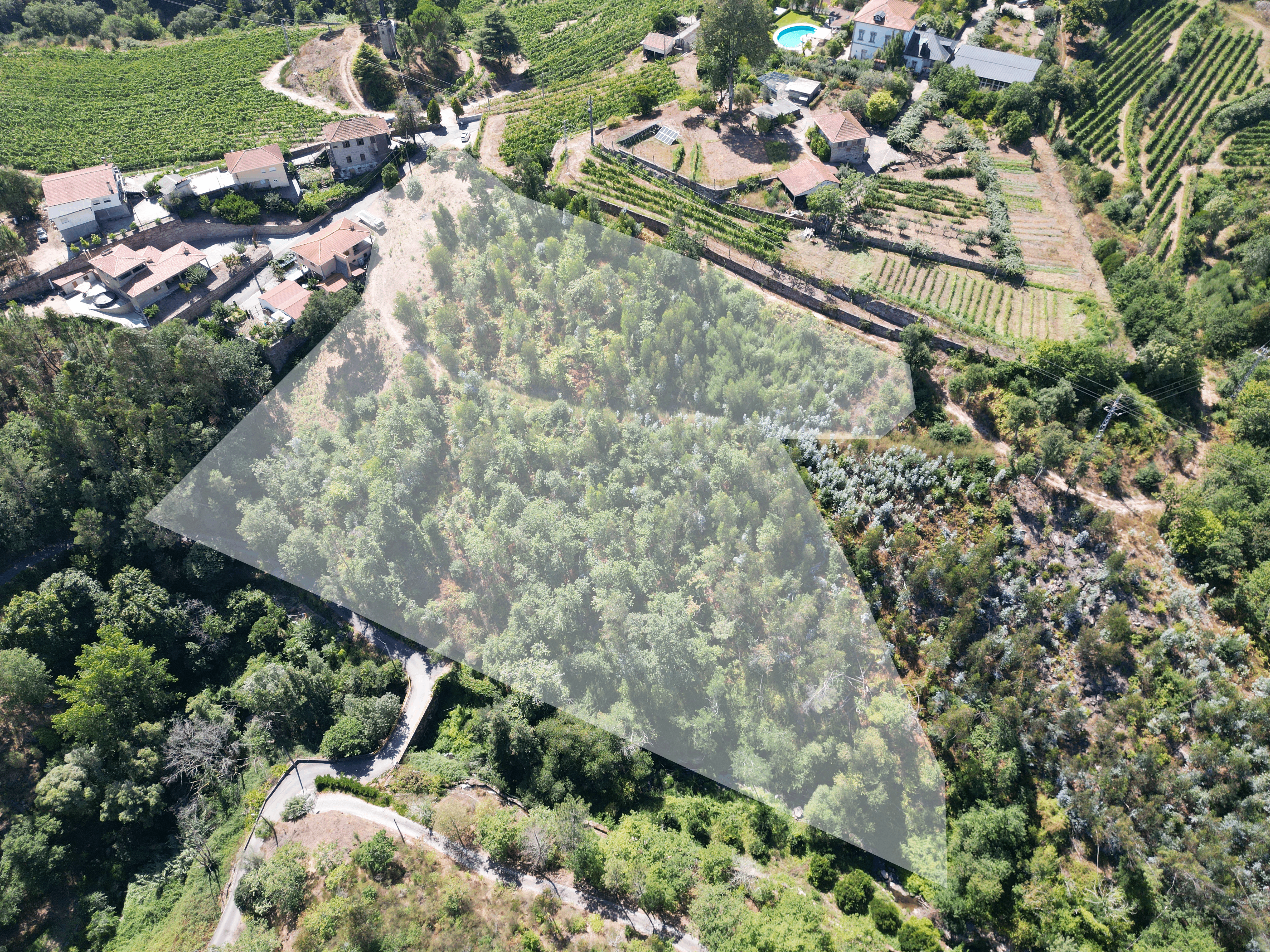 Terreno