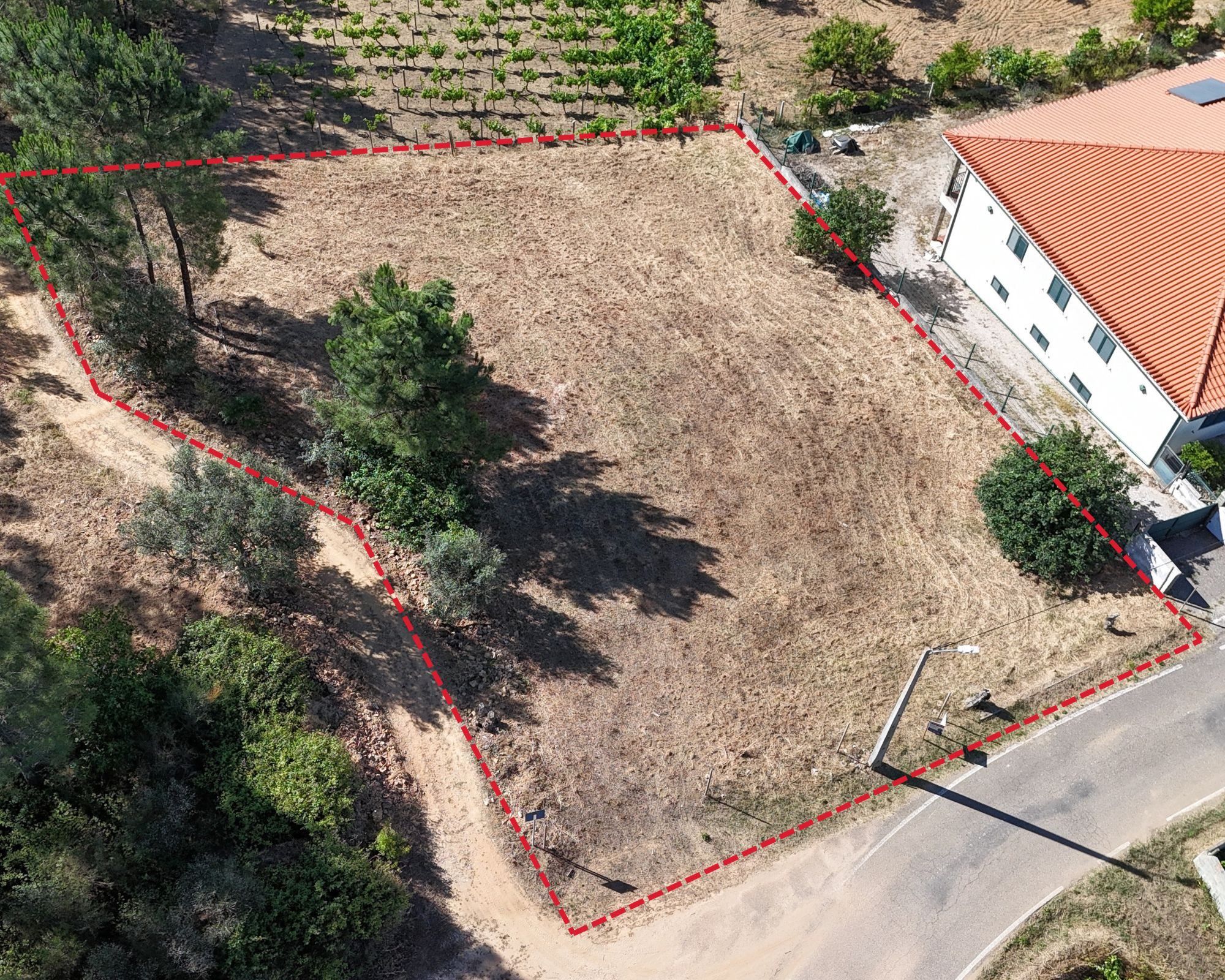 Terreno