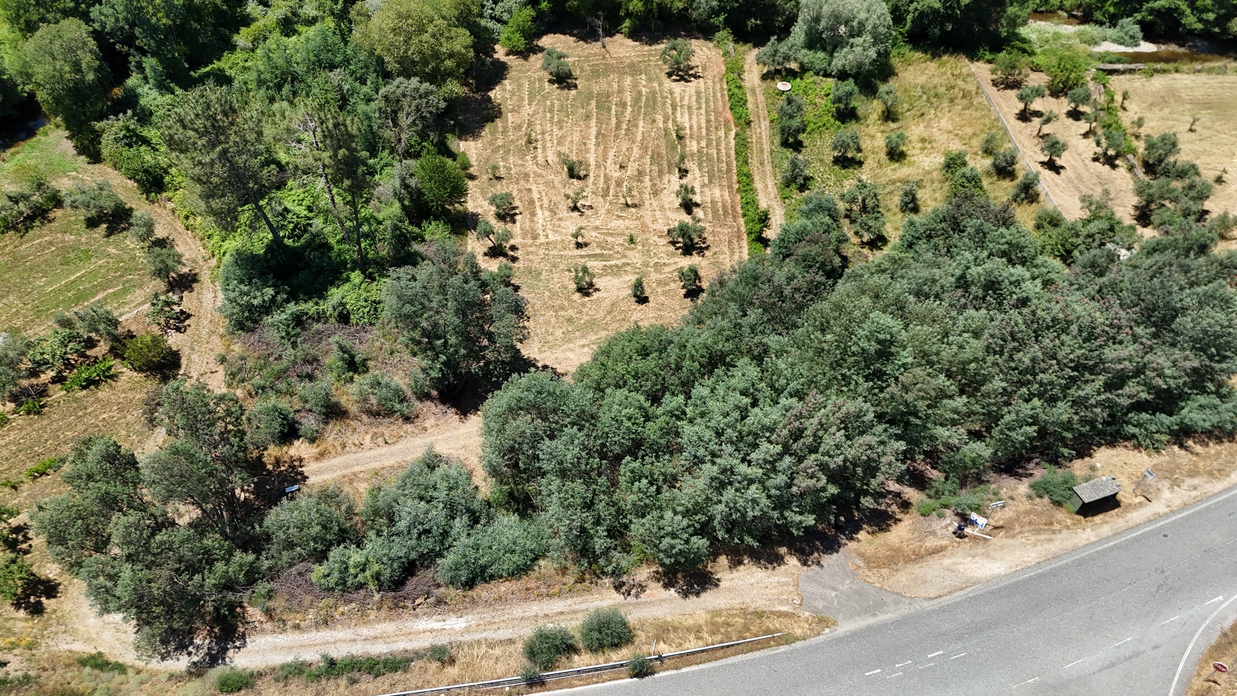 Terreno