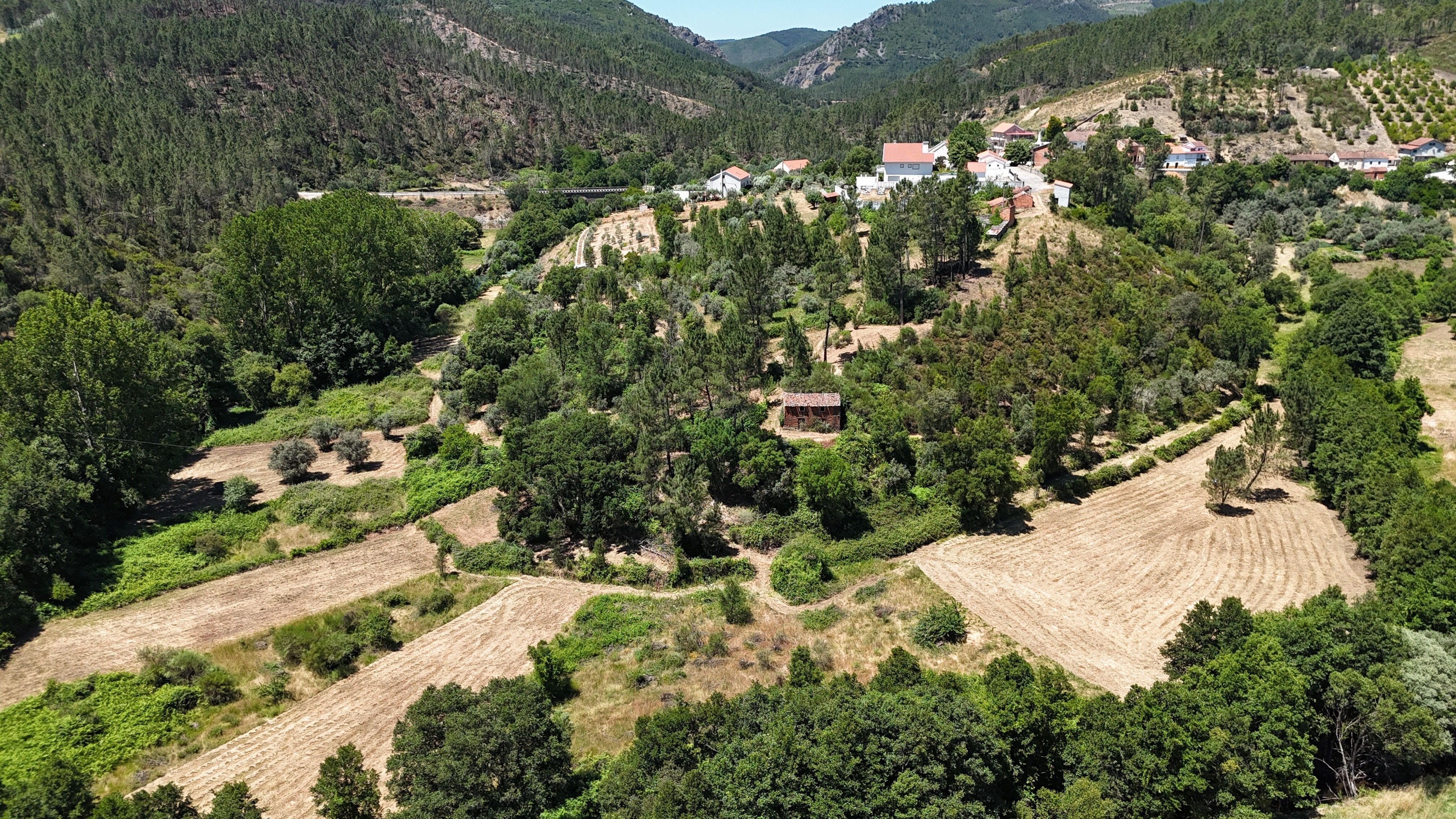 Terreno