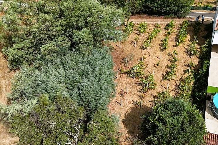 Terreno