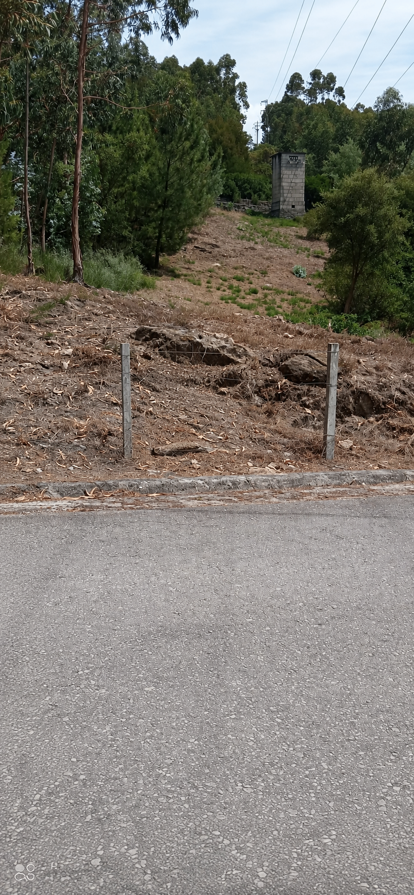 Terreno