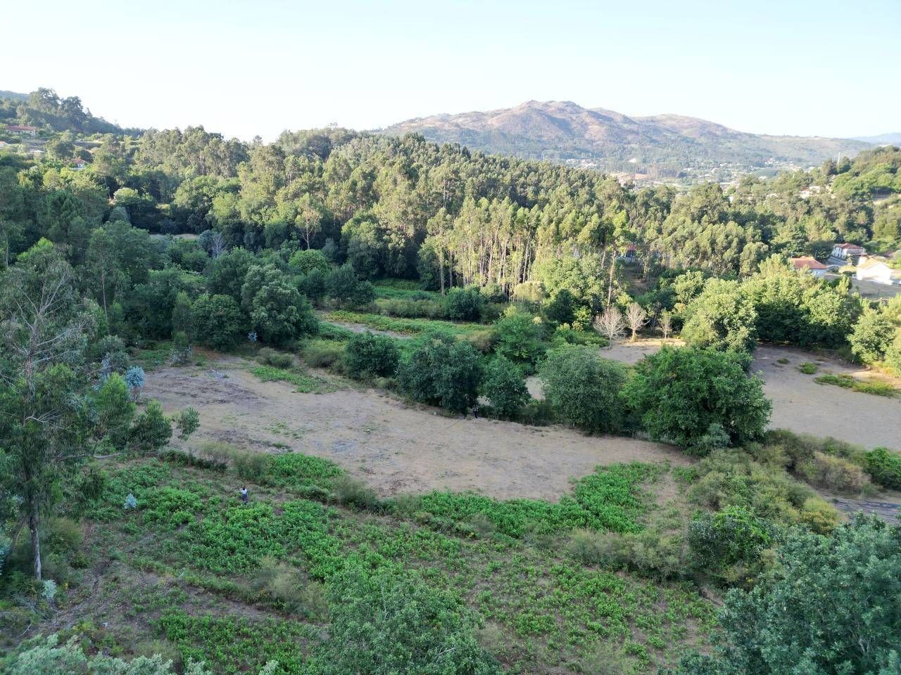 Terreno