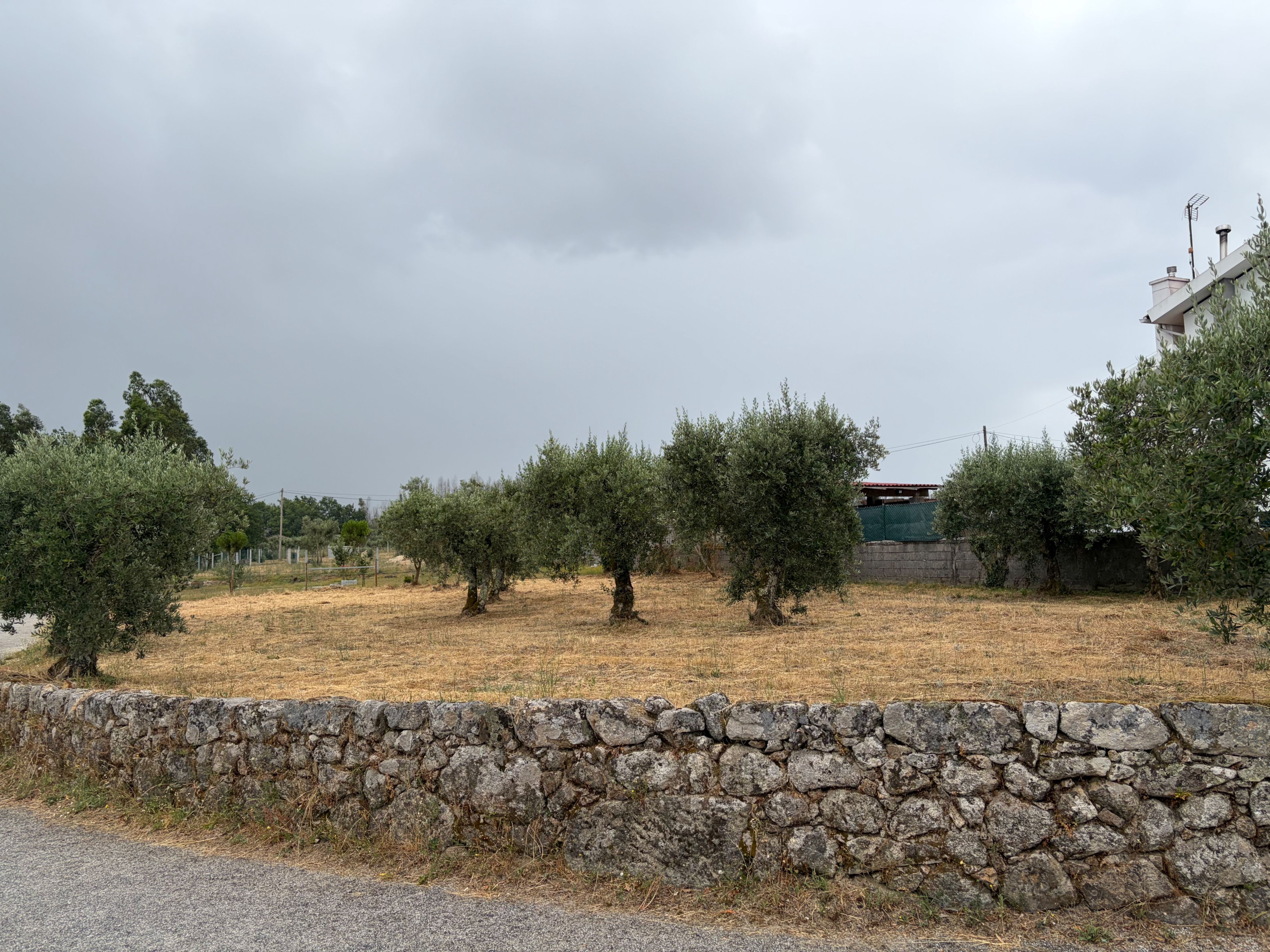 Terreno