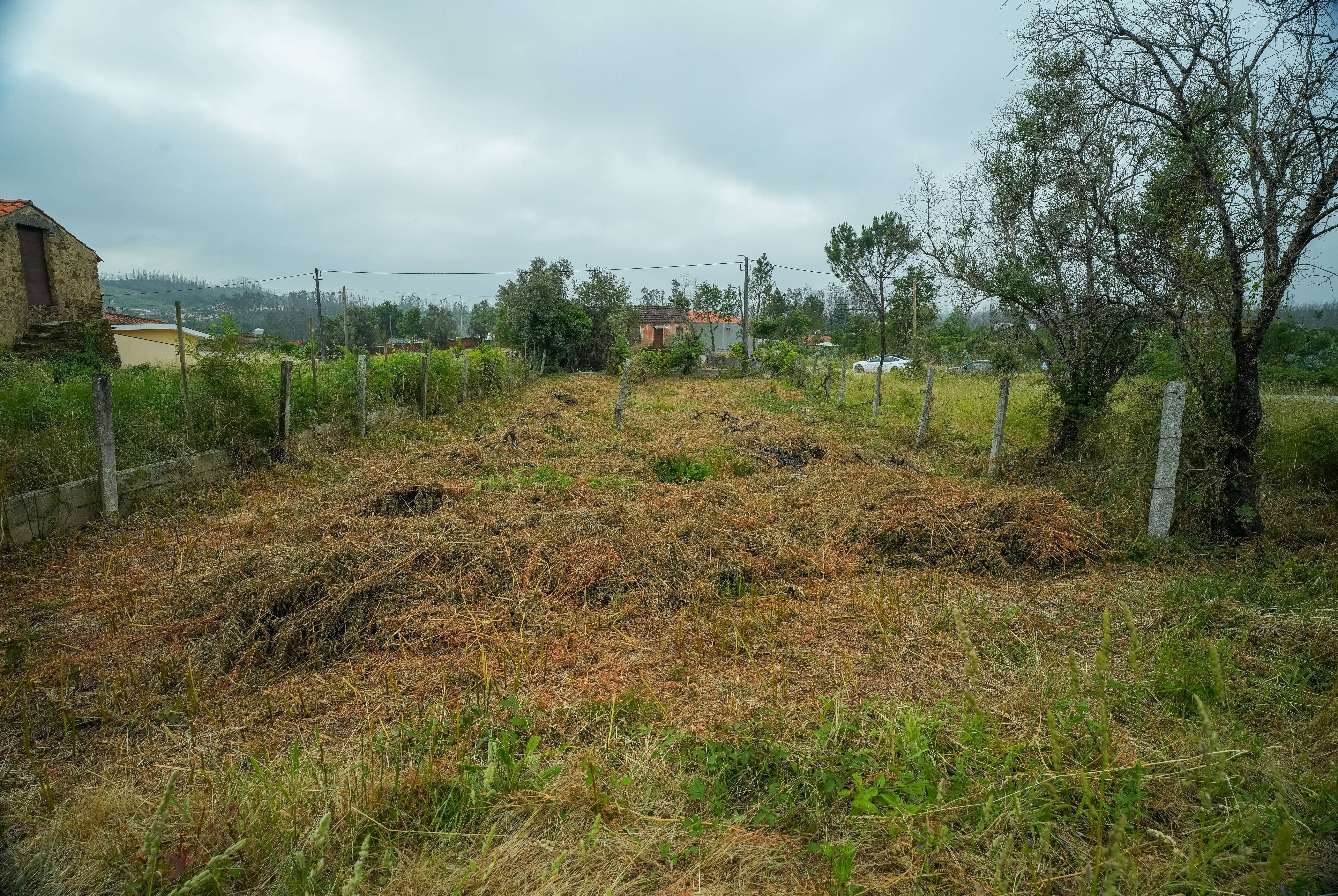 Terreno
