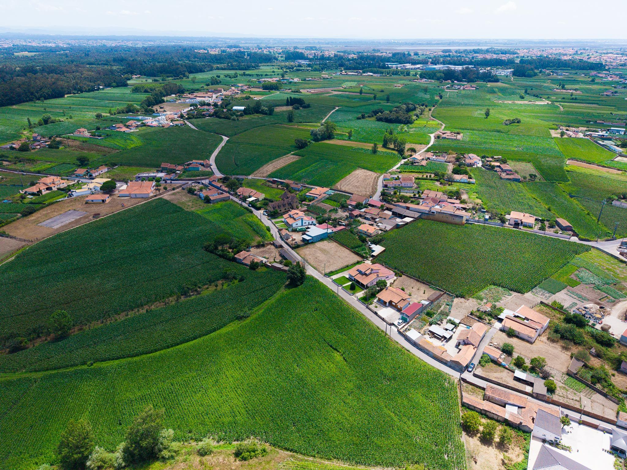 Terreno