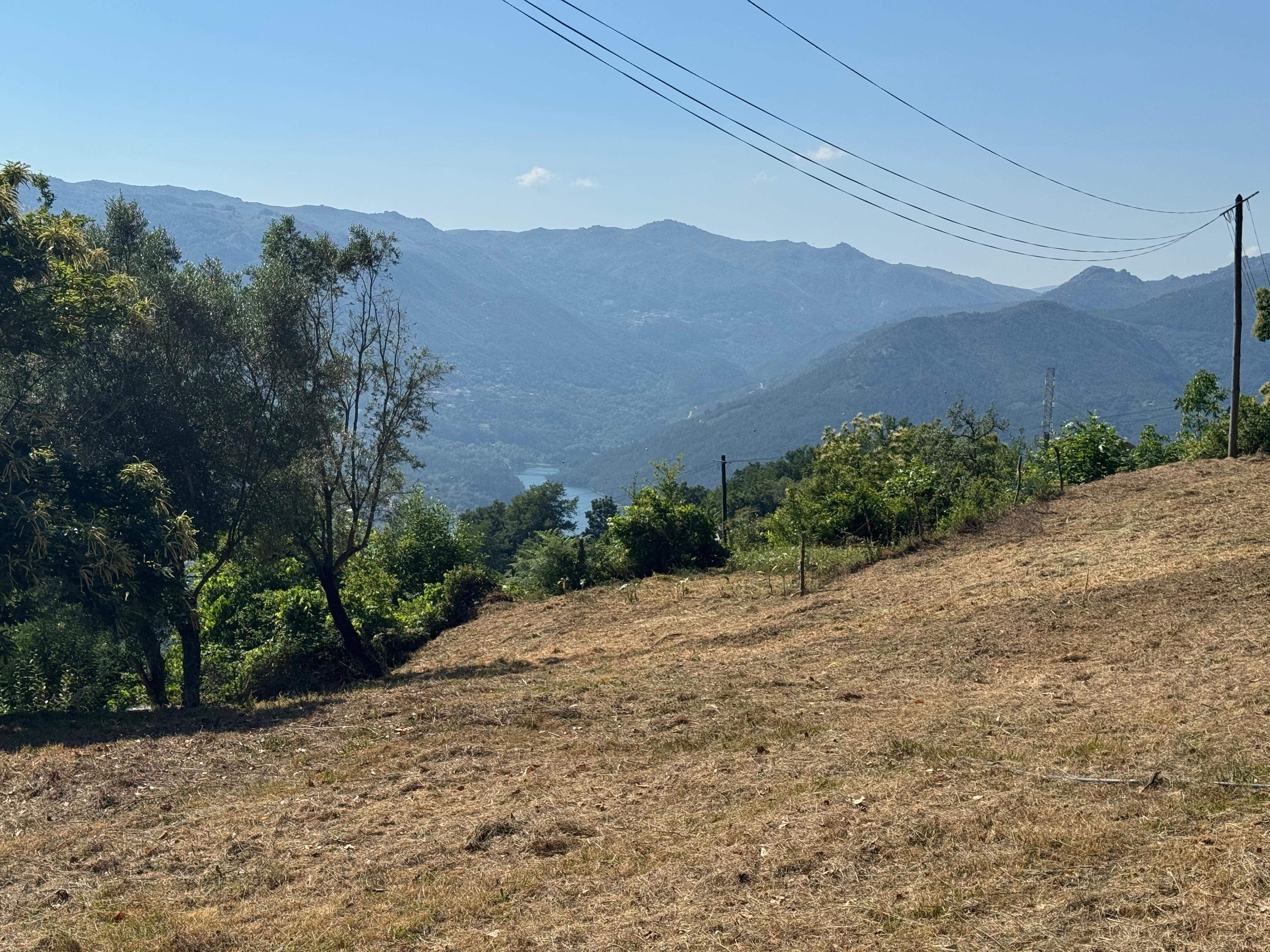 Terreno