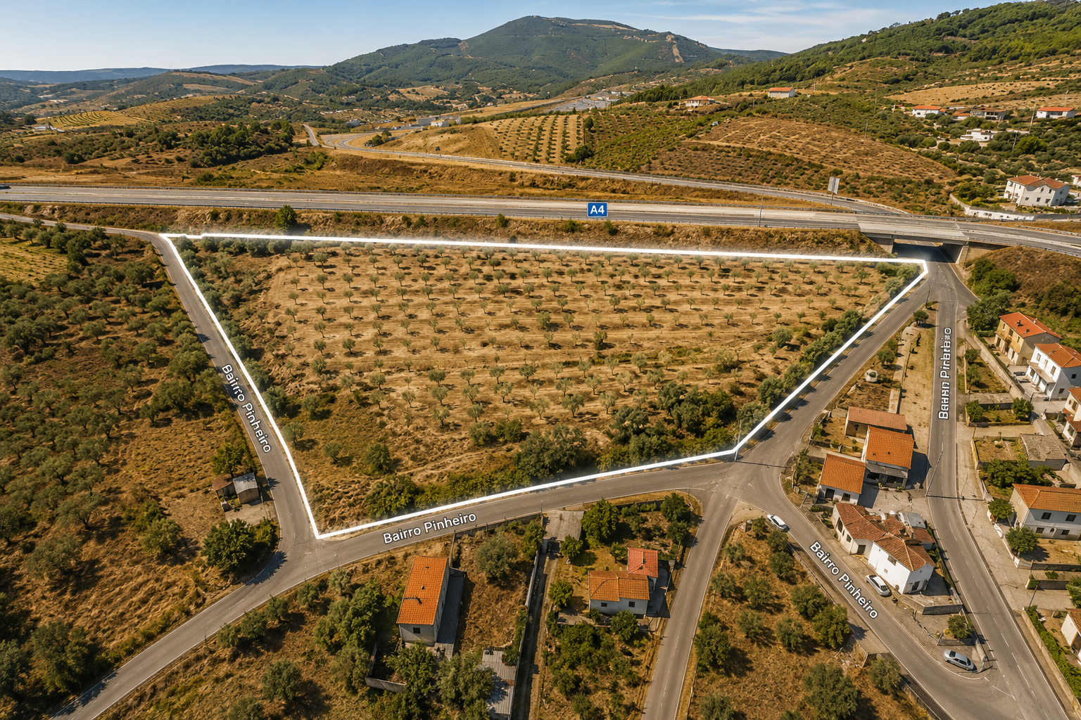 Terreno