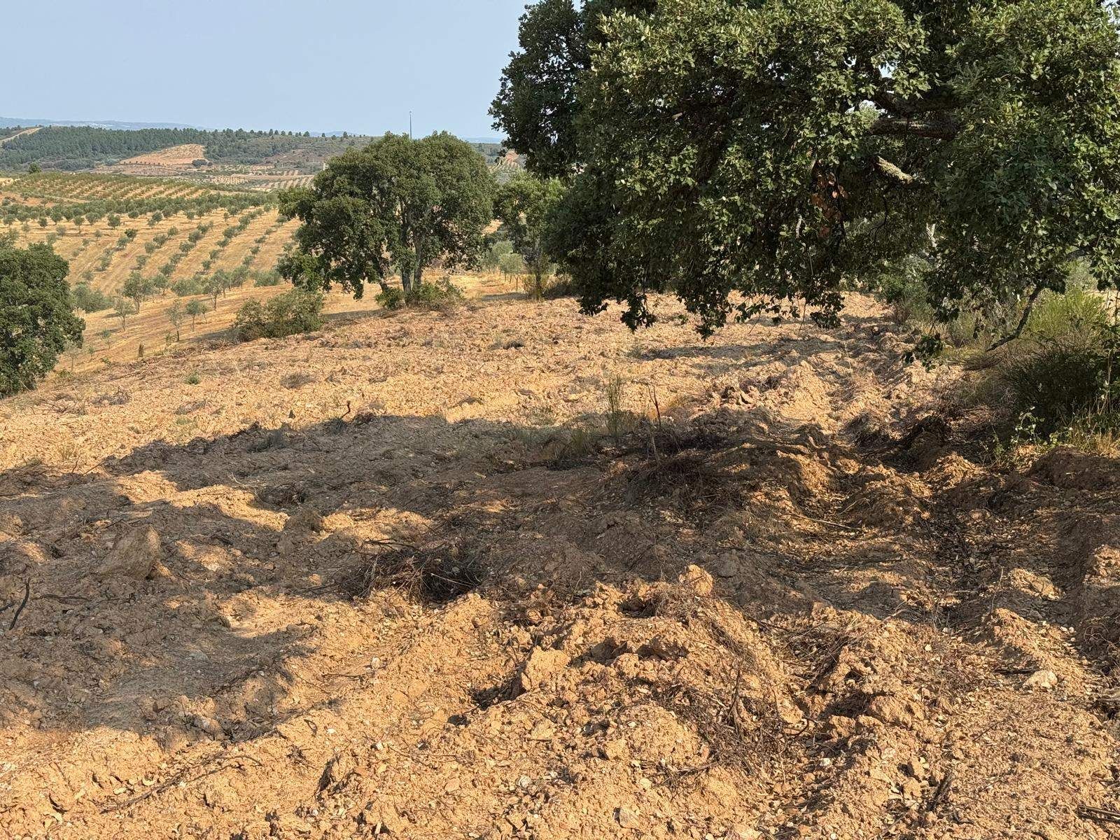 Terreno