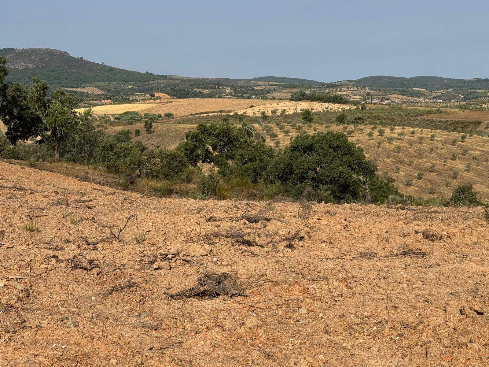 Terreno