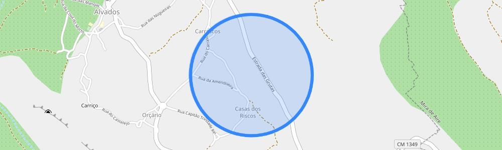listing-map-picture