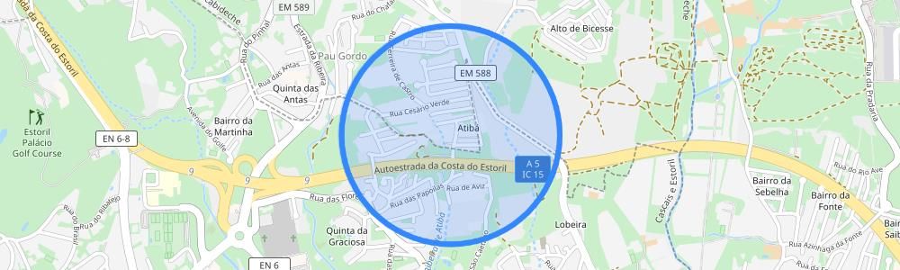listing-map-picture