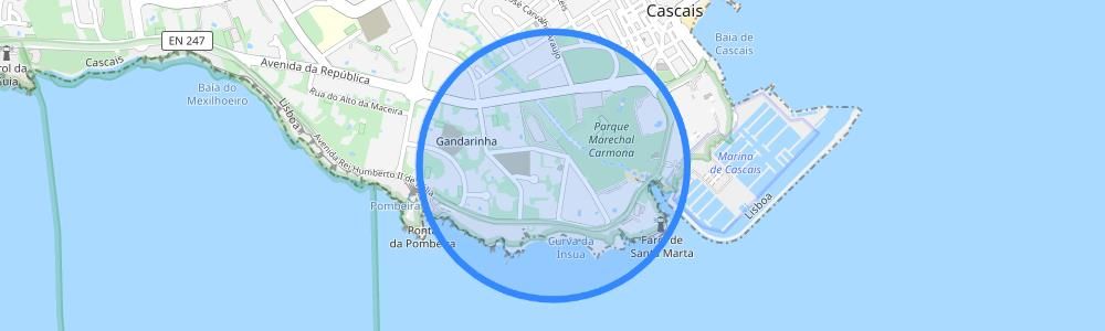 listing-map-picture
