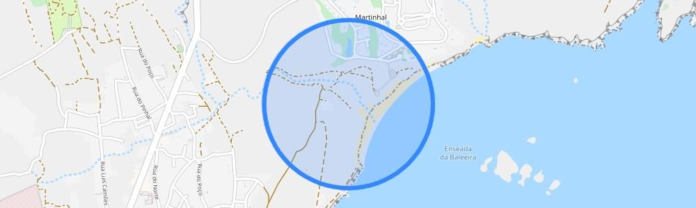 listing-map-picture