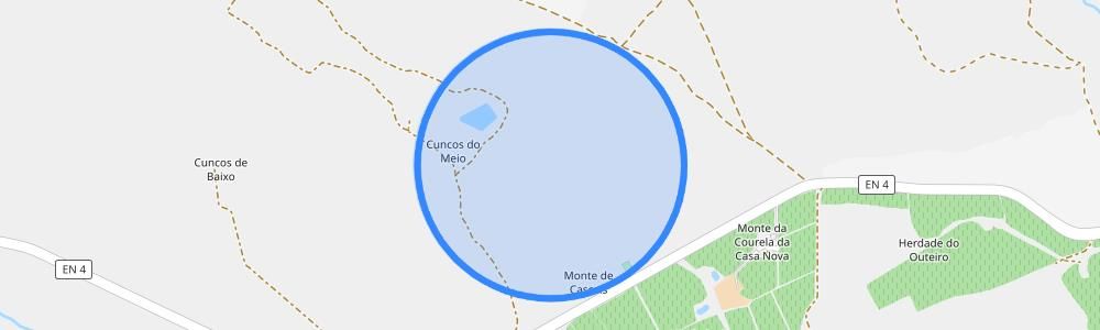 listing-map-picture