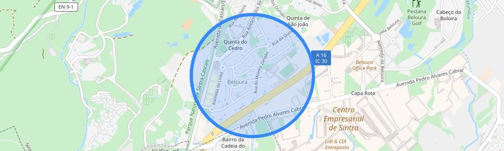 listing-map-picture