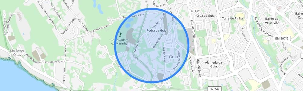 listing-map-picture