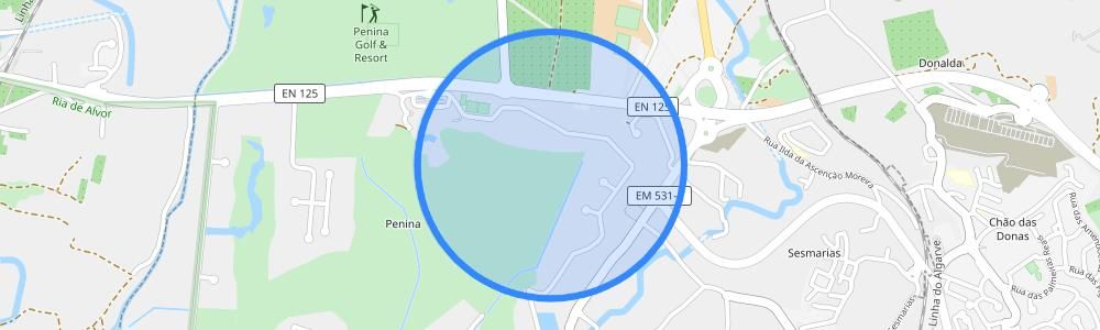 listing-map-picture