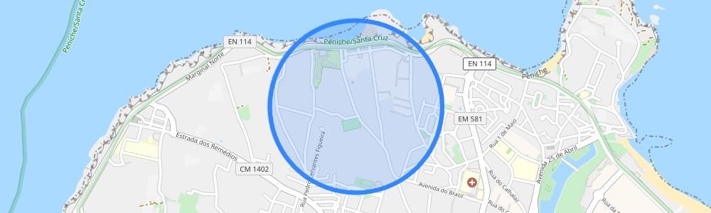 listing-map-picture