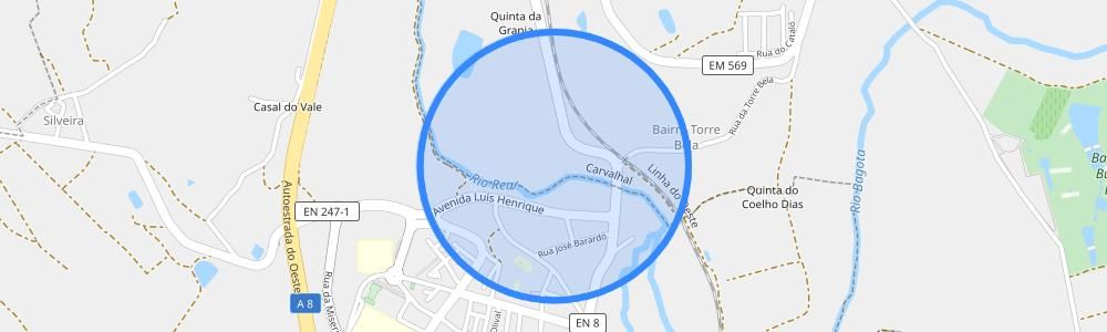 listing-map-picture