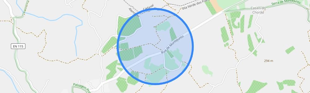 listing-map-picture