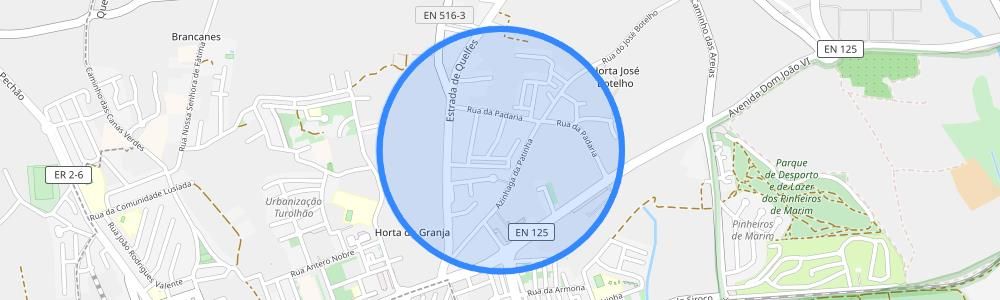 listing-map-picture