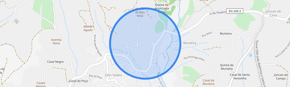 listing-map-picture
