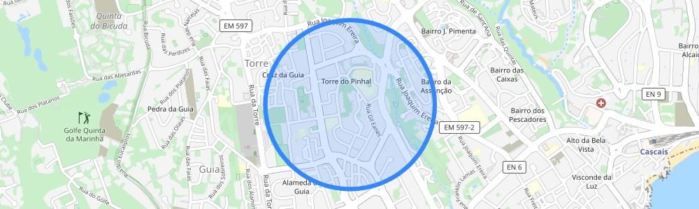 listing-map-picture
