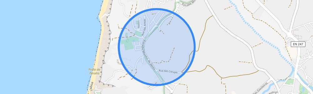 listing-map-picture