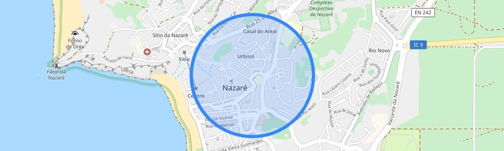 listing-map-picture