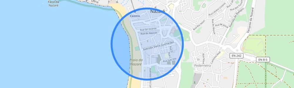 listing-map-picture